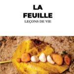 LA FEUILLE Leçons de vie
