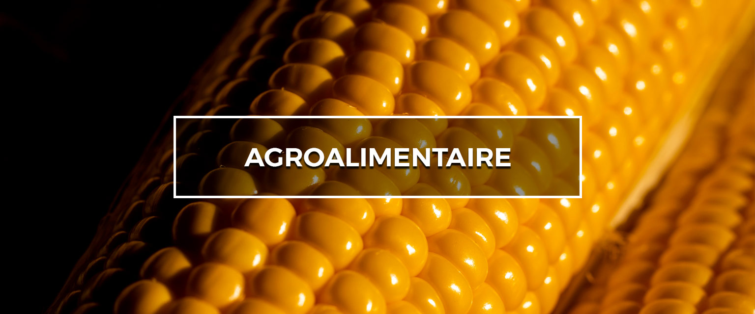 agro alimentaire