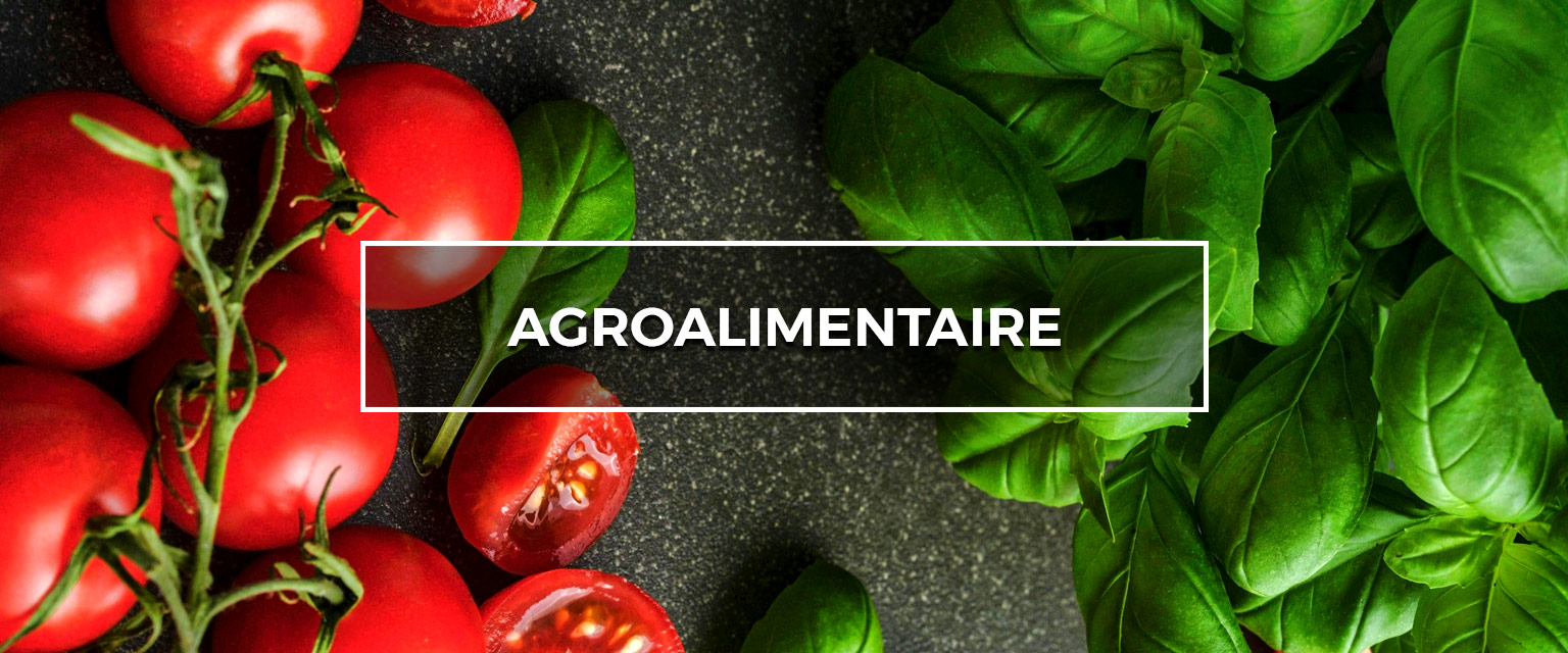 agro alimentaire