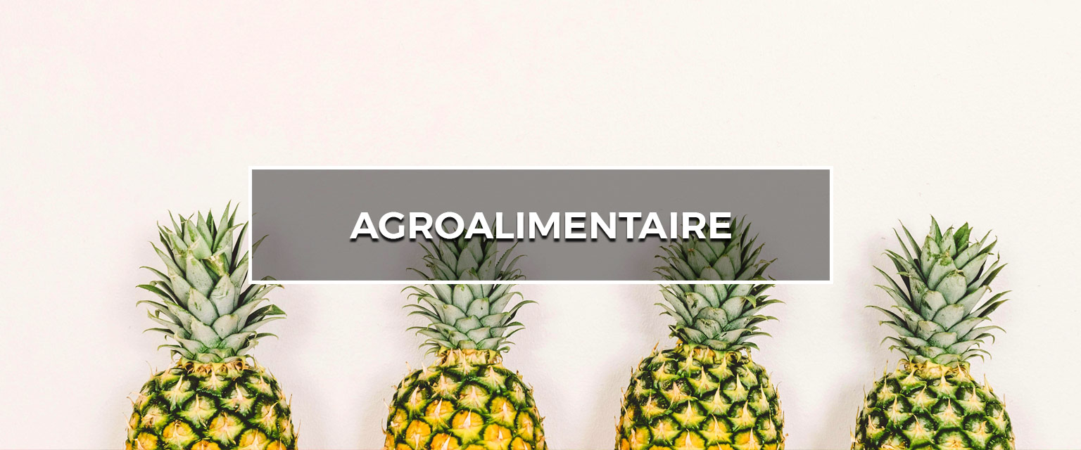 agro alimentaire